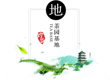 种植基地