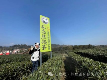 2024年1月新加坡亚洲新闻台采访森态熊猫茶